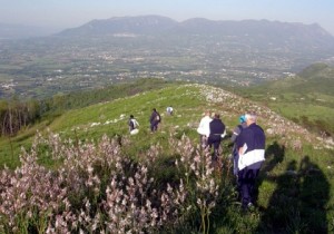 colli-tifatini-parco